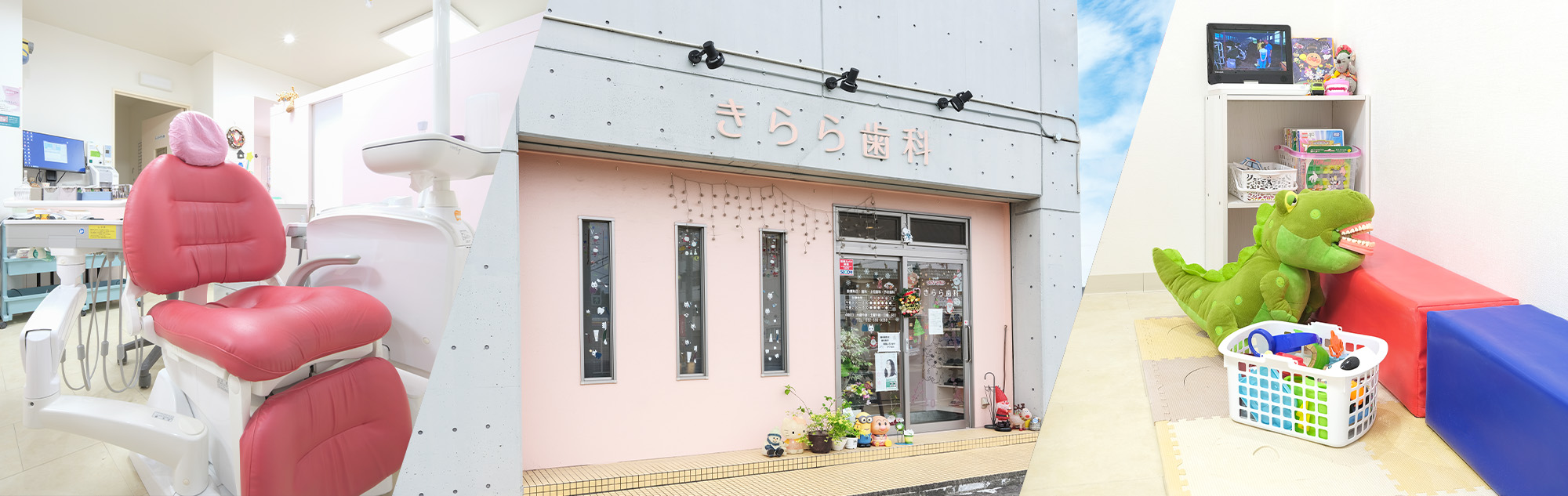非売品】100年の軌跡 社団法人新潟県歯科医師会 古書 歯医者